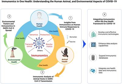 Immunomics in one health: understanding the human, animal, and environmental aspects of COVID-19